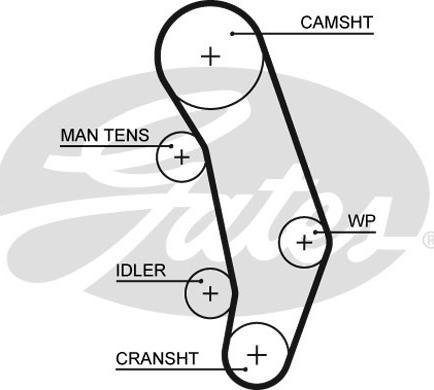GATES-SEA T765 - Ангренажен ремък vvparts.bg