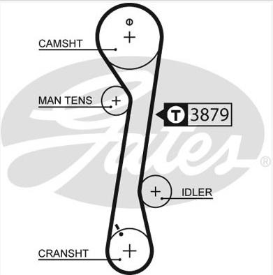 GATES-SEA T719 - Ангренажен ремък vvparts.bg