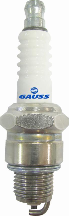 GAUSS GV8P02 - Запалителна свещ vvparts.bg