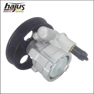 hajus Autoteile 4221049 - Хидравлична помпа, кормилно управление vvparts.bg