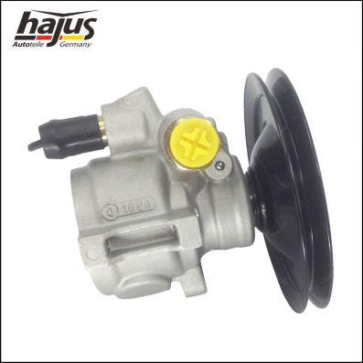 hajus Autoteile 4221044 - Хидравлична помпа, кормилно управление vvparts.bg