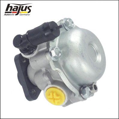 hajus Autoteile 4221040 - Хидравлична помпа, кормилно управление vvparts.bg