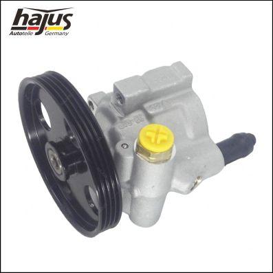 hajus Autoteile 4221048 - Хидравлична помпа, кормилно управление vvparts.bg