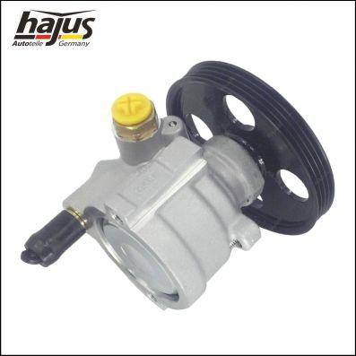 hajus Autoteile 4221048 - Хидравлична помпа, кормилно управление vvparts.bg