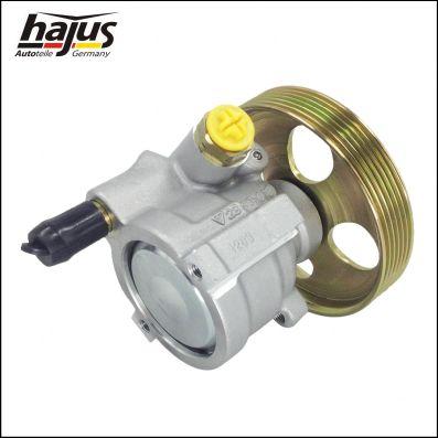 hajus Autoteile 4221047 - Хидравлична помпа, кормилно управление vvparts.bg