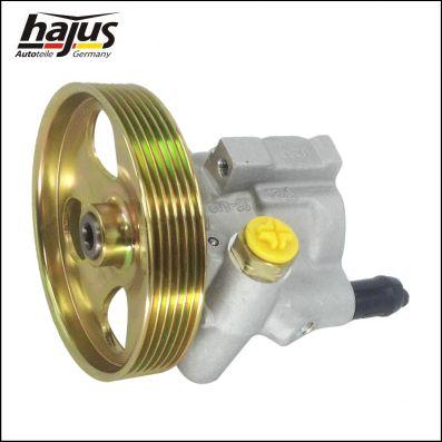 hajus Autoteile 4221050 - Хидравлична помпа, кормилно управление vvparts.bg