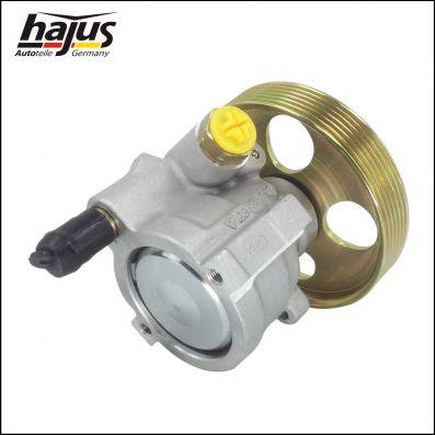 hajus Autoteile 4221050 - Хидравлична помпа, кормилно управление vvparts.bg