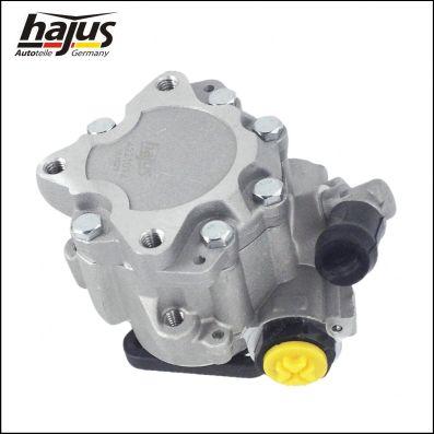 hajus Autoteile 4221012 - Хидравлична помпа, кормилно управление vvparts.bg