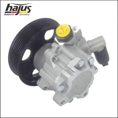 hajus Autoteile 4221035 - Хидравлична помпа, кормилно управление vvparts.bg