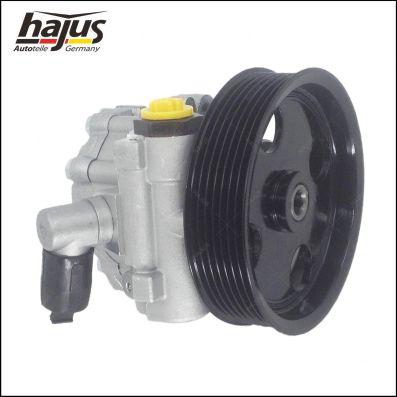 hajus Autoteile 4221035 - Хидравлична помпа, кормилно управление vvparts.bg