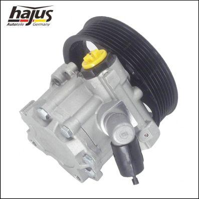 hajus Autoteile 4221035 - Хидравлична помпа, кормилно управление vvparts.bg