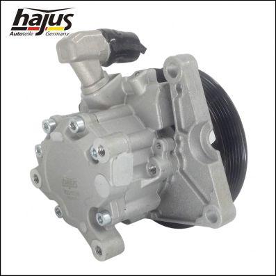 hajus Autoteile 4221036 - Хидравлична помпа, кормилно управление vvparts.bg