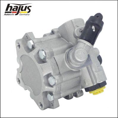 hajus Autoteile 4221038 - Хидравлична помпа, кормилно управление vvparts.bg