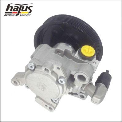 hajus Autoteile 4221032 - Хидравлична помпа, кормилно управление vvparts.bg