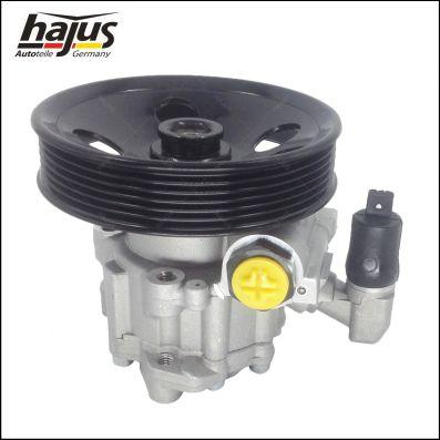 hajus Autoteile 4221028 - Хидравлична помпа, кормилно управление vvparts.bg