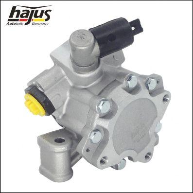 hajus Autoteile 4221027 - Хидравлична помпа, кормилно управление vvparts.bg