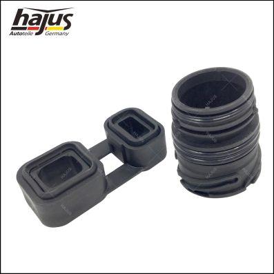 hajus Autoteile 1151373 - Гарнитура, автоматична предавателна кутия vvparts.bg