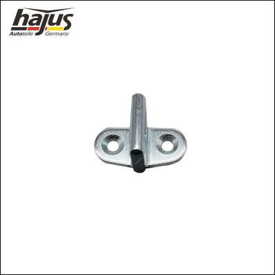 hajus Autoteile 8571082 - Затваряща плоча, брава на вратата vvparts.bg