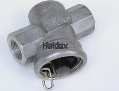 Haldex 310005011 - Въздушен филтър vvparts.bg