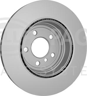 HELLA PAGID 8DD 355 129-641 - Спирачен диск vvparts.bg