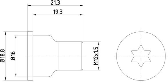 HELLA PAGID 8DZ 355 209-051 - Винт, спирачен диск vvparts.bg