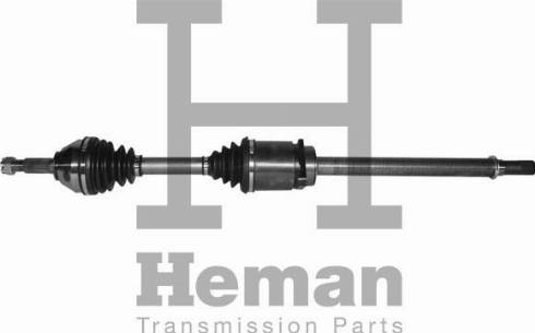 HEMAN TD89800 - Полуоска vvparts.bg