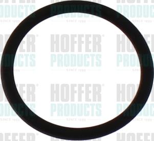Hoffer 98813 - Гумен пръстен vvparts.bg