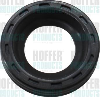 Hoffer 80298526 - Ремонтен комплект, впръсквателна дюза vvparts.bg