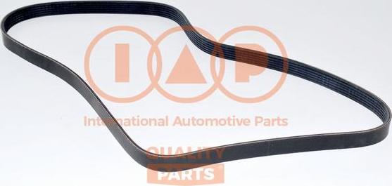 IAP QUALITY PARTS 140-14080 - Пистов ремък vvparts.bg