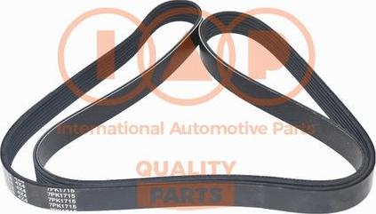 IAP QUALITY PARTS 140-14031 - Пистов ремък vvparts.bg