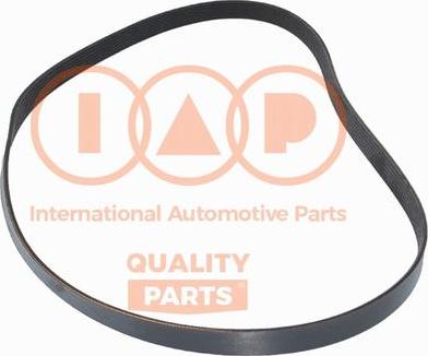 IAP QUALITY PARTS 140-14033 - Пистов ремък vvparts.bg