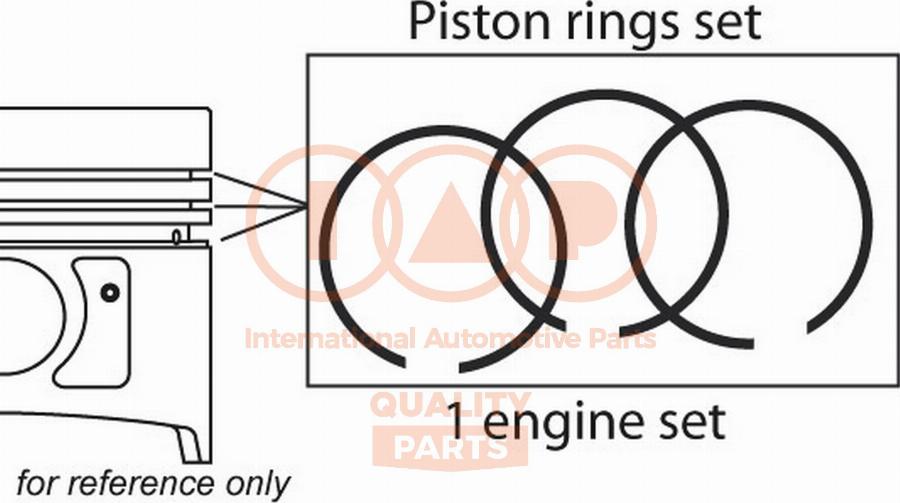 IAP QUALITY PARTS 102-29061 - Комплект сегменти vvparts.bg