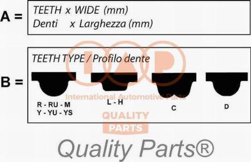 IAP QUALITY PARTS 128-11011 - Ангренажен ремък vvparts.bg