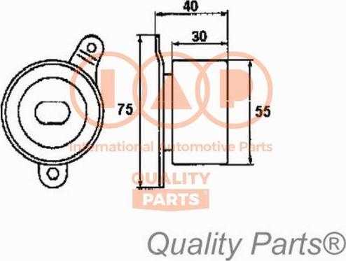 IAP QUALITY PARTS 12706016 - Обтяжна ролка, ангренаж vvparts.bg