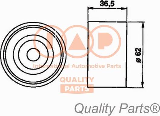 IAP QUALITY PARTS 12717087 - Обтяжна ролка, ангренаж vvparts.bg