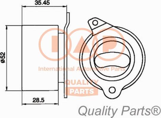 IAP QUALITY PARTS 12721020 - Обтяжна ролка, ангренаж vvparts.bg