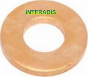 INTFRADIS 10151 - Уплътнение, дюзодържач vvparts.bg
