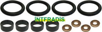 INTFRADIS 10126K - Комплект гарнитури, впръскваща дюза vvparts.bg