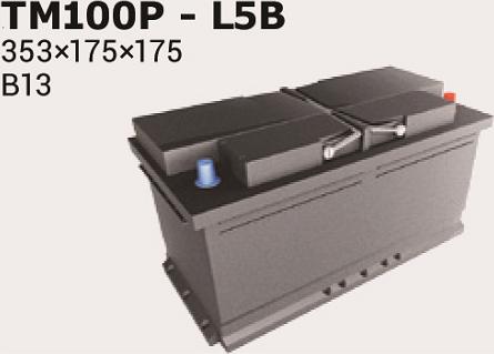 IPSA TM100P - Стартов акумулатор vvparts.bg