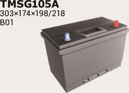 IPSA TMSG105A - Стартов акумулатор vvparts.bg
