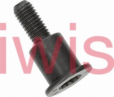 iwis Motorsysteme 60216 - Болт за плъзгач, ангр. верига vvparts.bg