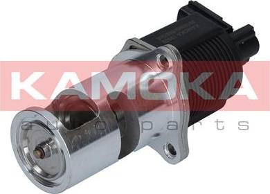 Kamoka 19009 - AGR-Клапан vvparts.bg