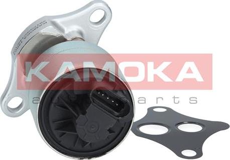 Kamoka 19001 - AGR-Клапан vvparts.bg