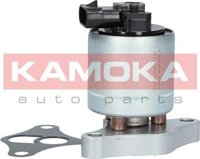 Kamoka 19002 - AGR-Клапан vvparts.bg