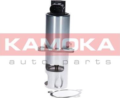 Kamoka 19010 - AGR-Клапан vvparts.bg