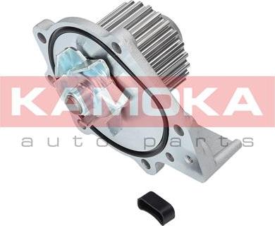 Kamoka T0174 - Водна помпа vvparts.bg