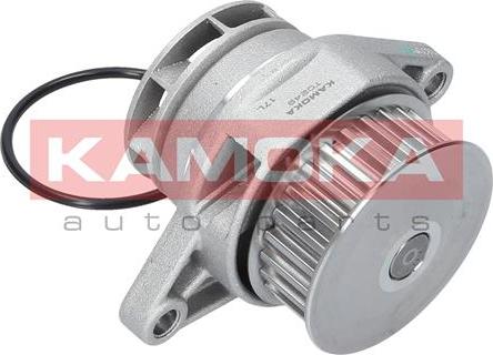 Kamoka T0249 - Водна помпа vvparts.bg