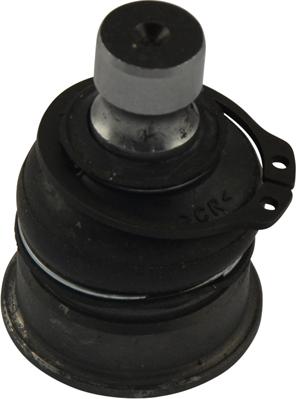 Kavo Parts SBJ-6561 - Шарнири vvparts.bg