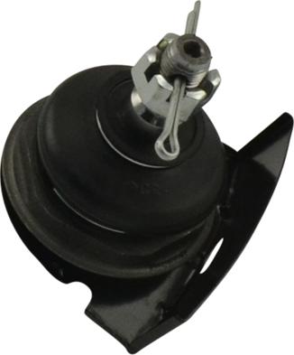 Kavo Parts SBJ-3038 - Шарнири vvparts.bg