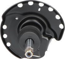 Kavo Parts SSA-10144 - Амортисьор vvparts.bg